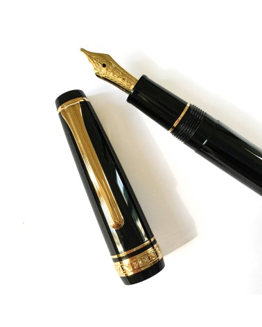 Stylo-plume Sailor PG slim Gold Black , bec MS