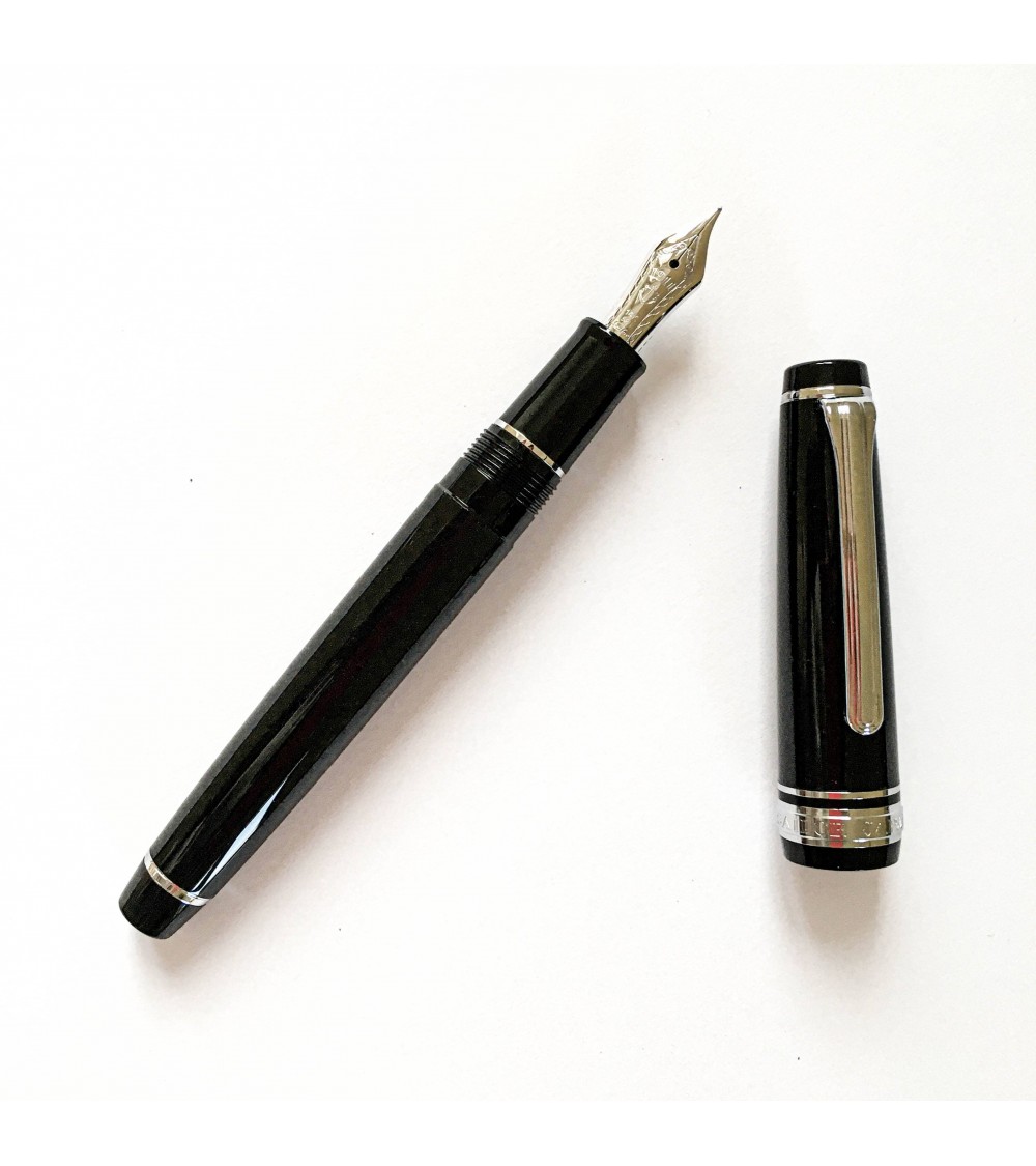 Stylo Plume SAILOR Transparent à Cœurs Violets - Neuf Avec étiquettes