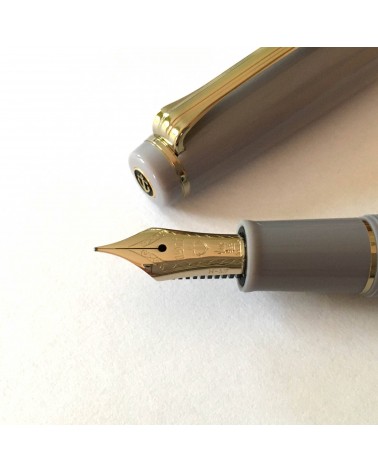 Stylo-plume Sailor PG Slim Mini Gold Ayur Grey, bec or 14 carats MF, à L’Ecritoire design, Lausanne