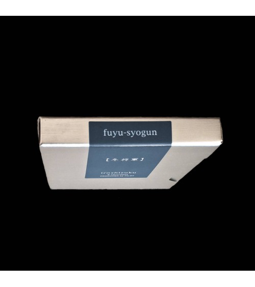 Cartouches Iroshizuku pour stylos-plume de la marque Pilot, Fuyu-Syogun (gris bleu)