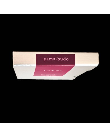 Cartouches Iroshizuku pour stylos-plume de la marque Pilot, Yama-Budo (pourpre)