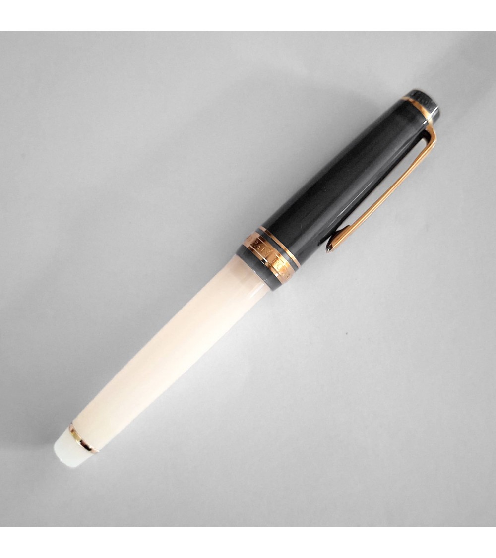 Stylo-plume Sailor Dried Flower 2 Black Rose, bec or 14 carats largeur M