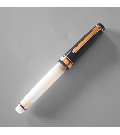 Stylo-plume Sailor Dried Flower 2 Black Rose, bec or 14 carats largeur M