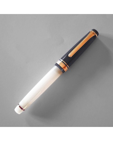 Stylo-plume Sailor Dried Flower 2 Black Rose, bec or 14 carats largeur M