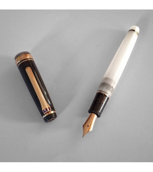 Stylo-plume Sailor Dried Flower 2 Black Rose, bec or 14 carats largeur M