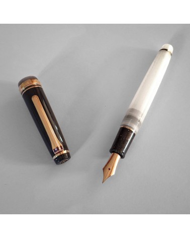 Stylo-plume Sailor Dried Flower 2 Black Rose, bec or 14 carats largeur M