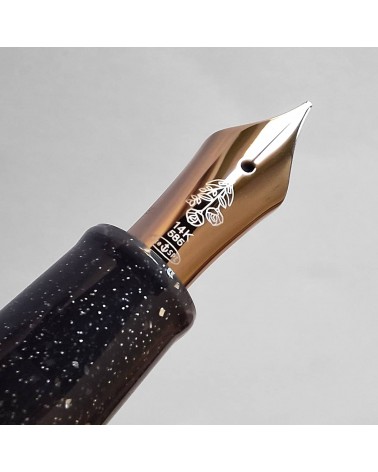 Stylo-plume Sailor Dried Flower 2 Black Rose, bec or 14 carats largeur M
