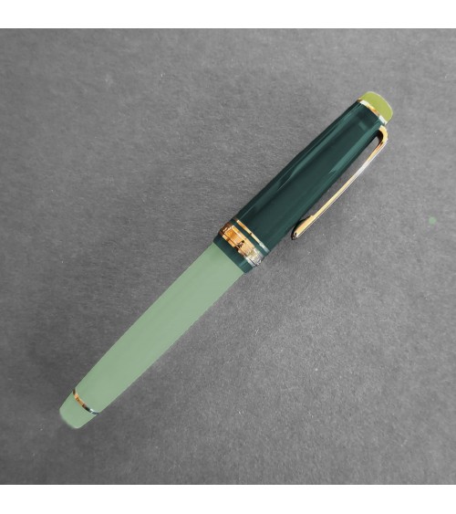 Stylo-plume Sailor Dried Flower Eucalyptus, bec or 14 carats largeur MF