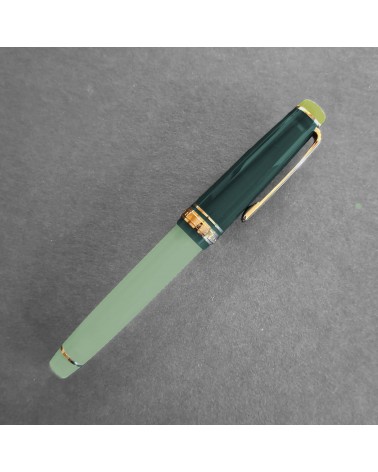 Stylo-plume Sailor Dried Flower Eucalyptus, bec or 14 carats largeur MF