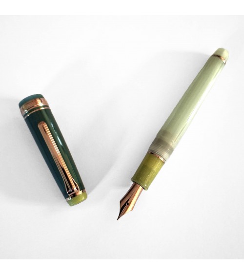 Stylo-plume Sailor Dried Flower Eucalyptus, bec or 14 carats largeur MF