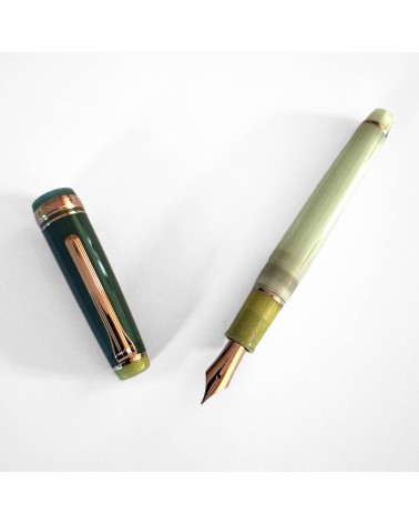 Stylo-plume Sailor Dried Flower Eucalyptus, bec or 14 carats largeur MF