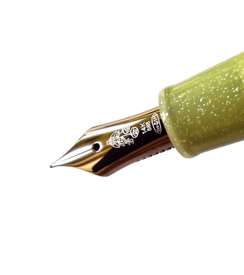 Stylo-plume Sailor Dried Flower Eucalyptus, bec or 14 carats largeur MF