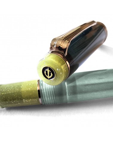 Stylo-plume Sailor Dried Flower Eucalyptus, bec or 14 carats largeur MF