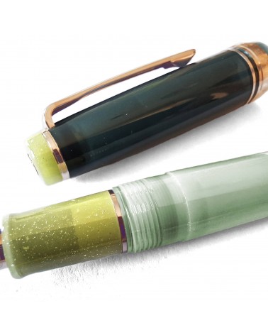 Stylo-plume Sailor Dried Flower Eucalyptus, bec or 14 carats largeur MF