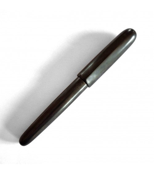 Stylo-plume Sailor Nawate Kuroginhaku avec bec en or de largeur M