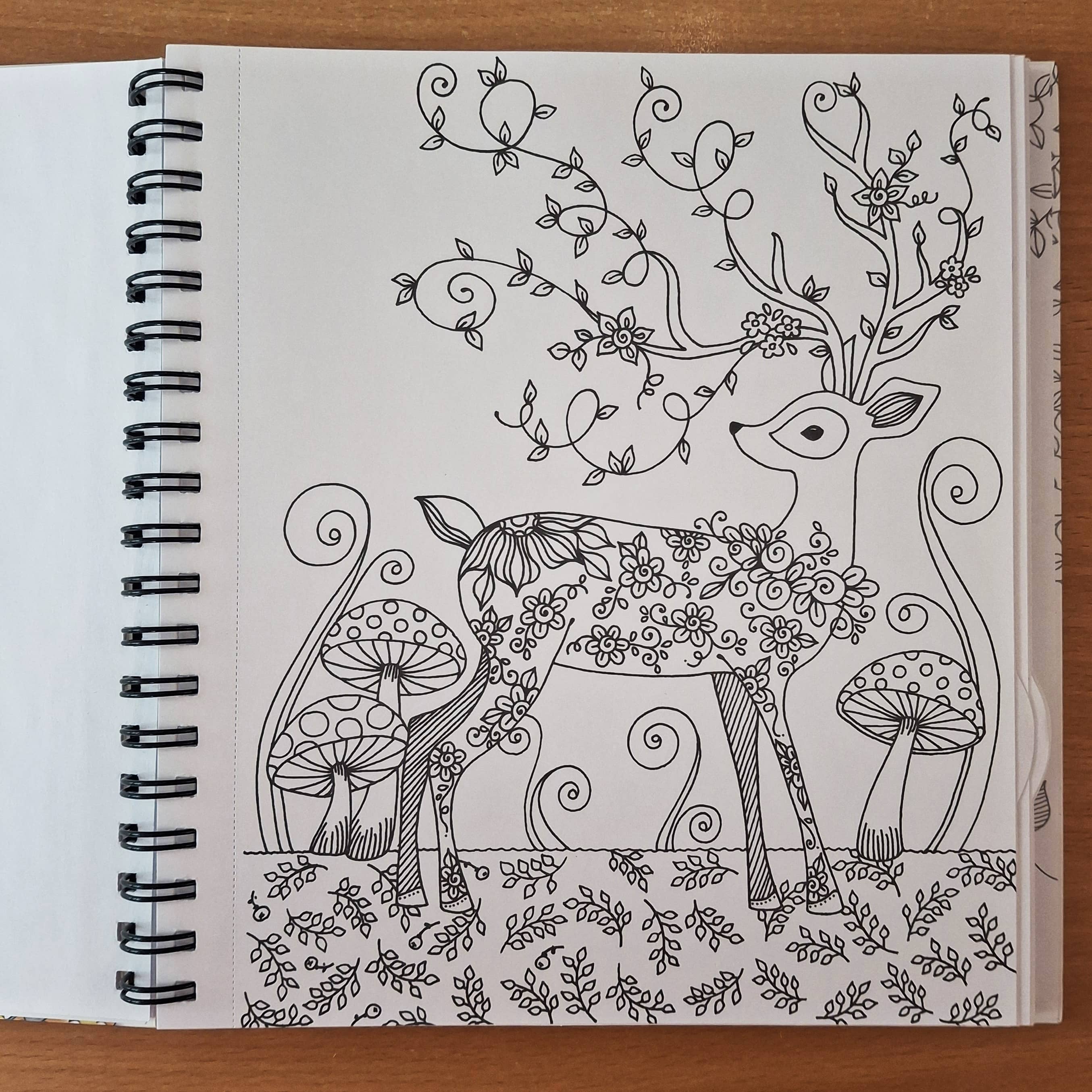 Carnet de coloriage Art Garden