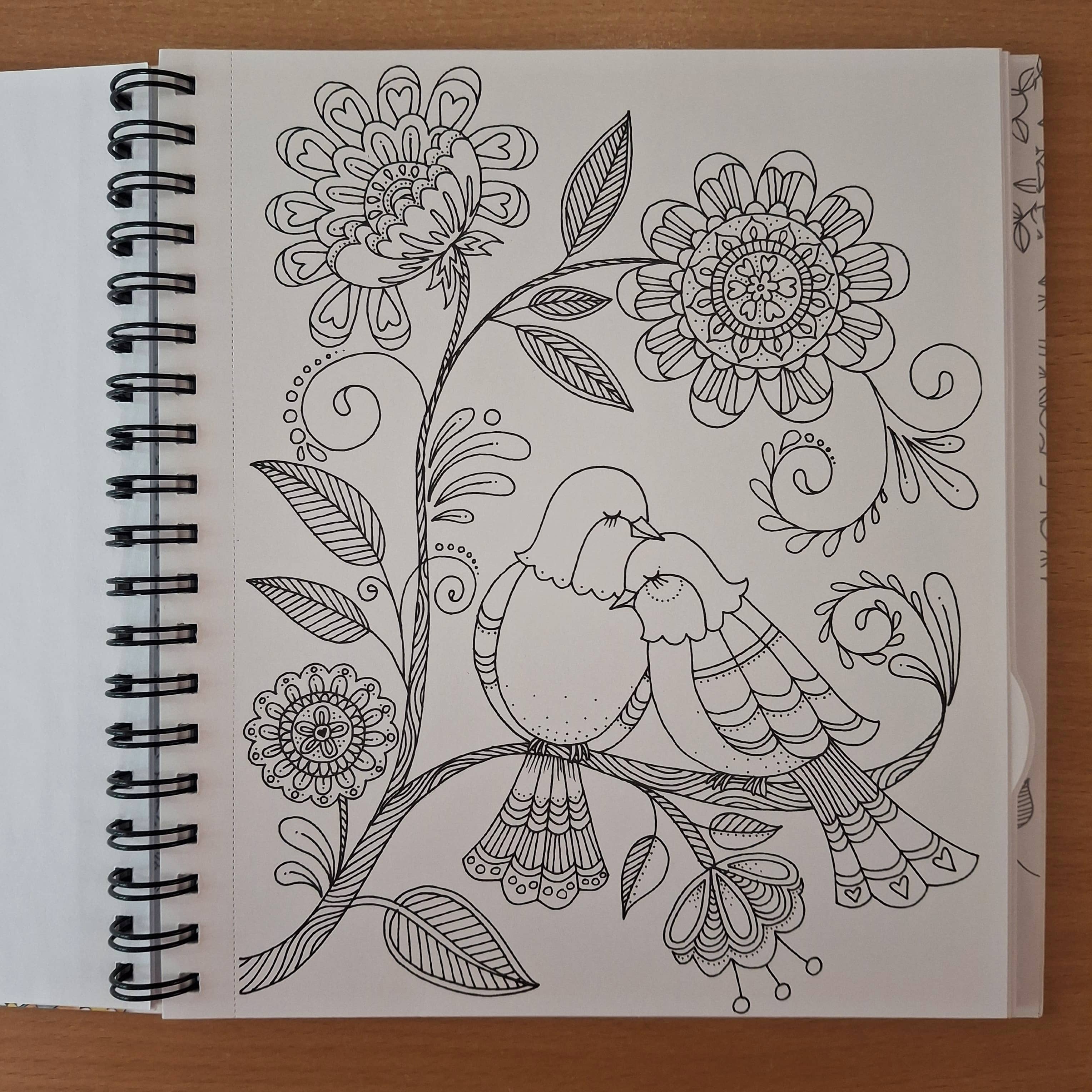 Carnet de coloriage Chameleon Art Garden