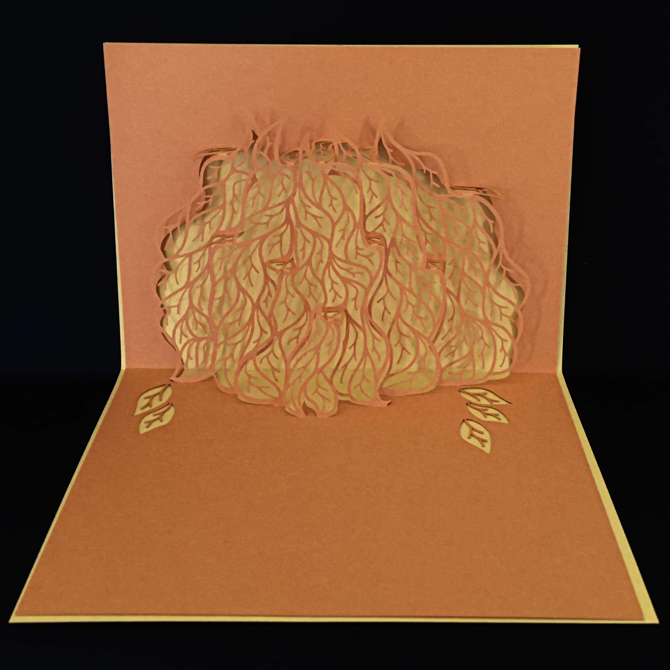 Carte pop-up Rifletto